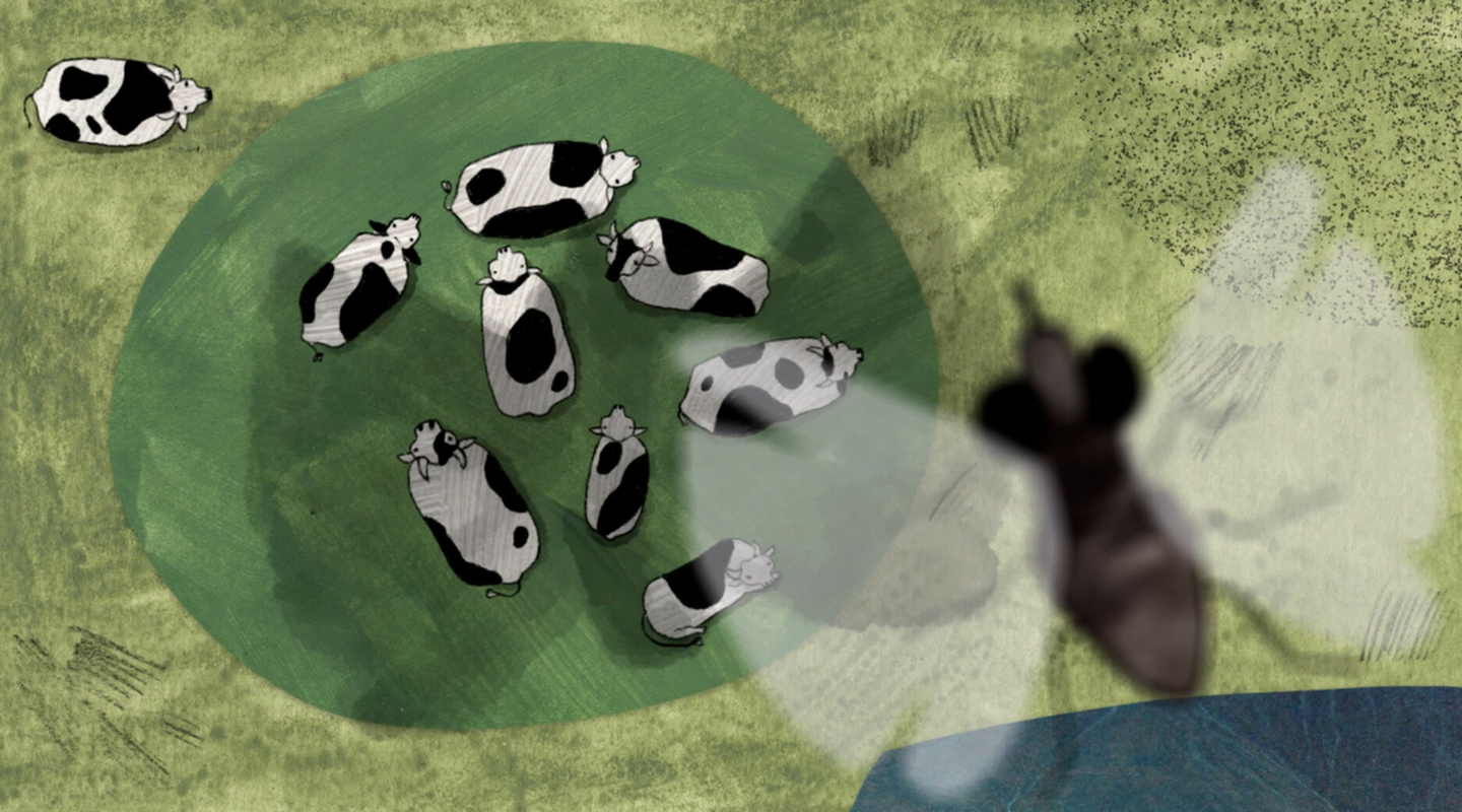About a Cow | © About a Cow, Pavla Baštanová, CZ 2023
