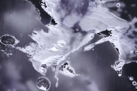 States of Matter, Marvin Hauck, NL 2024_03.jpg