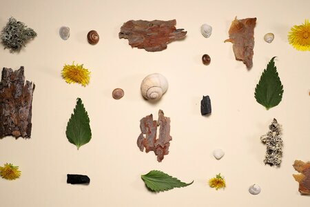 Anima Natura, Andrea Gudiño, EE 2024_01.jpg