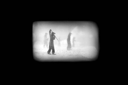 Freeze Frame, Soetkin Verstegen, BE 2019